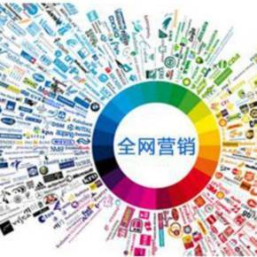 全網(wǎng)營(yíng)銷寶典 驅(qū)動(dòng)互聯(lián)網(wǎng)銷售的整合策略與實(shí)戰(zhàn)指南